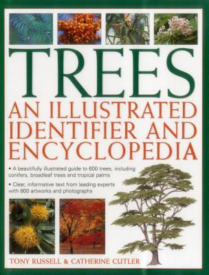 Full Download Trees: An Illustrated Identifier & Encyclopedia: A Beautifully Illustrated Guide to 600 Trees, Including Conifers, Broadleaf Trees and Tropical Palms - Tony Russell file in ePub