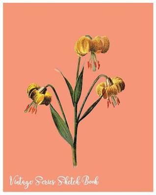 Read Vintage Series Sketch Book: Vintage Series Sketch Book: Large 8 X 10 Blank, Unlined, Freely to Write on for Everyone ( Men, Women, Girls, Boys, Adult, Children. Enjoy Yourself by Writing with 60 Pages ( Splendid Blank Journals) -  file in PDF