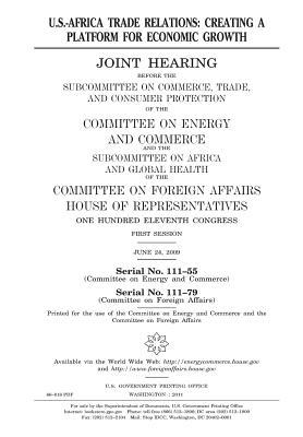 Read U.S.-Africa Trade Relations: Creating a Platform for Economic Growth - U.S. Congress | PDF