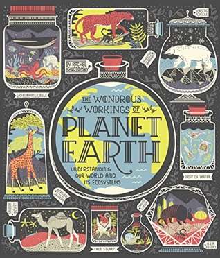 Read Online The Wondrous Workings of Planet Earth: Understanding Our World and Its Ecosystems - Rachel Ignotofsky | ePub