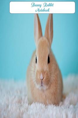 Full Download Bunny Rabbit Notebook: Cute gift - sweet bunny rabbit on front cover. 6 x 9 notebook with 120 blank lined pages. -  | ePub